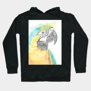 blue and gold macaw watercolor portrait bird parrot Hoodie